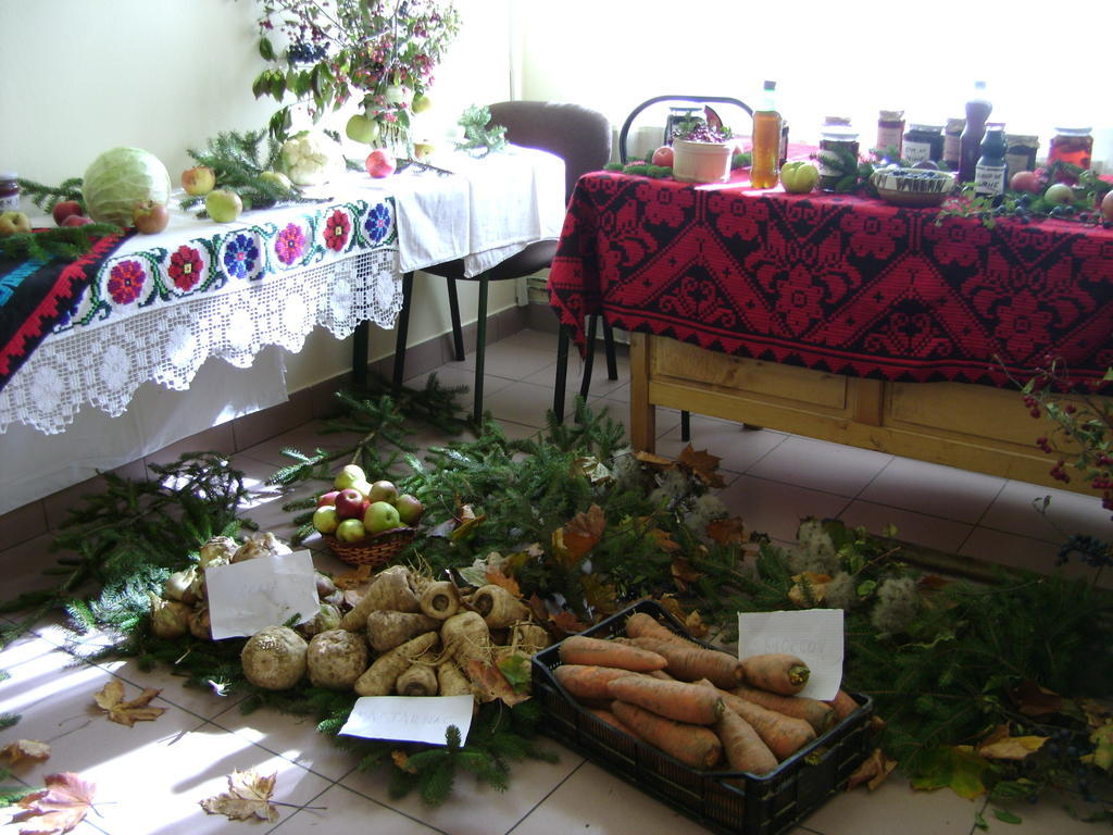 Pensiunea Popasul Iancului Hotel Mărişel Bagian luar foto