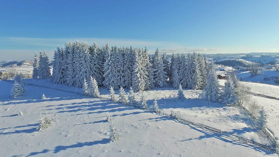 Pensiunea Popasul Iancului Hotel Mărişel Bagian luar foto