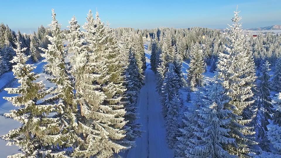 Pensiunea Popasul Iancului Hotel Mărişel Bagian luar foto