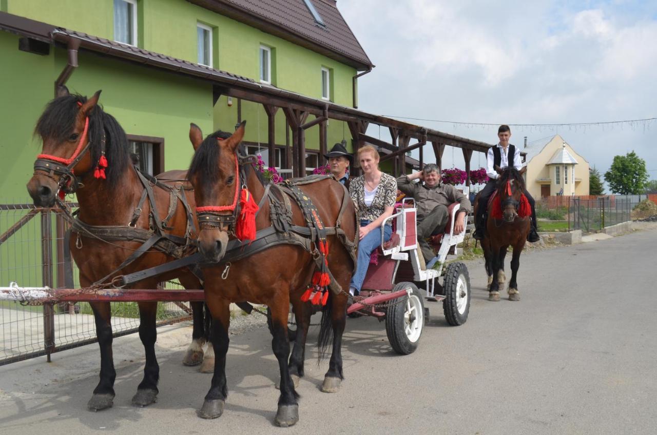 Pensiunea Popasul Iancului Hotel Mărişel Bagian luar foto